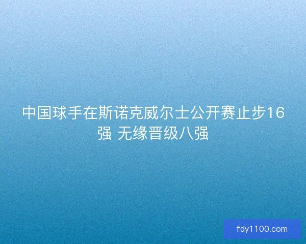中国球手在斯诺克威尔士公开赛止步16强 无缘晋级八强